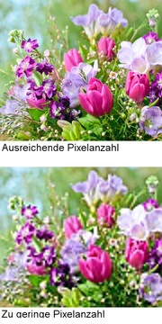 Die richtige Bildgröße - ein Vergleich